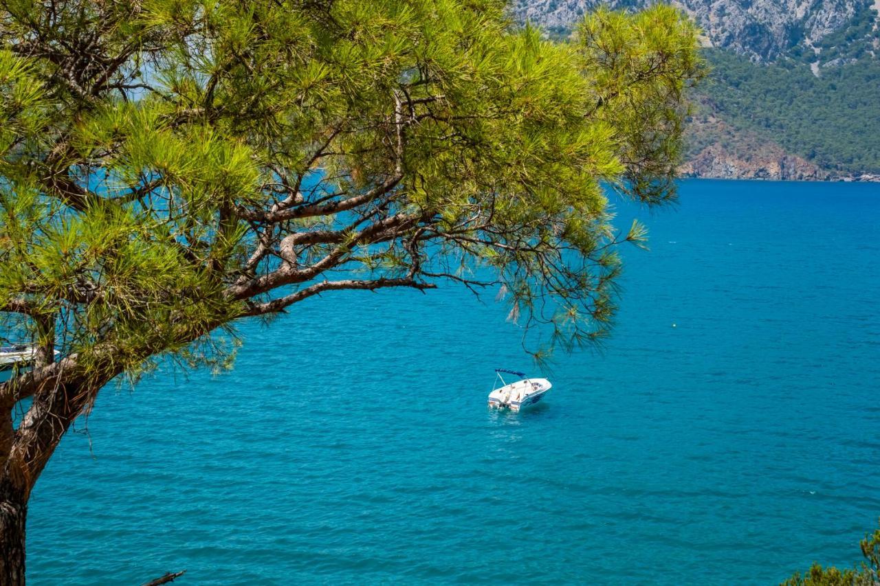 Akya Adrasan Pansiyon Buitenkant foto